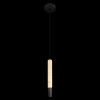 Подвесной светильник LOFT IT 10475C Black