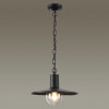 Подвесной уличный светильник Odeon Light 4833/1
