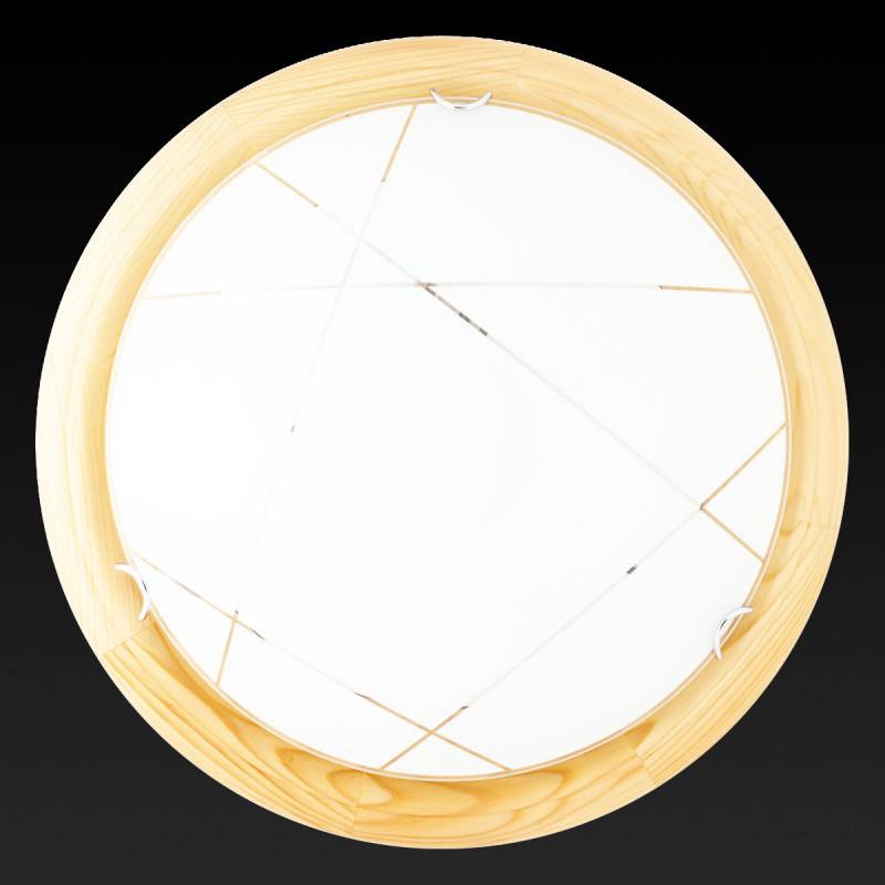 Накладной светильник TOPLIGHT TL9013Y-02PN