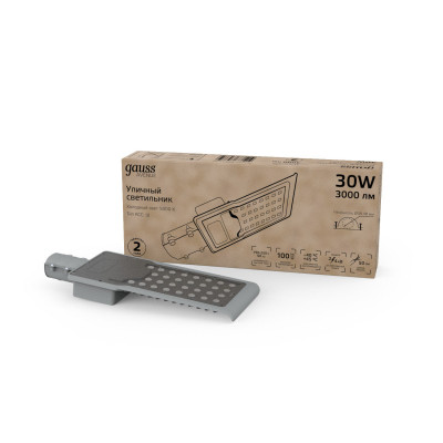 Консольный светильник Gauss 629534330