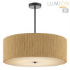 Люстра на штанге LUMION 8286/7