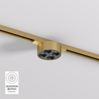 Светильник на шине Denkirs DK5772-SB