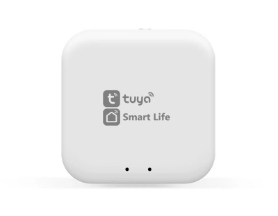 WI-FI конвертер Ambrella Light GL1920