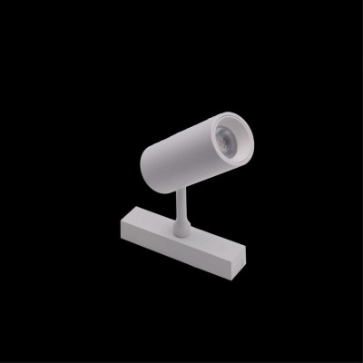 Светильник на шине APLOYT APL.0116.11.10