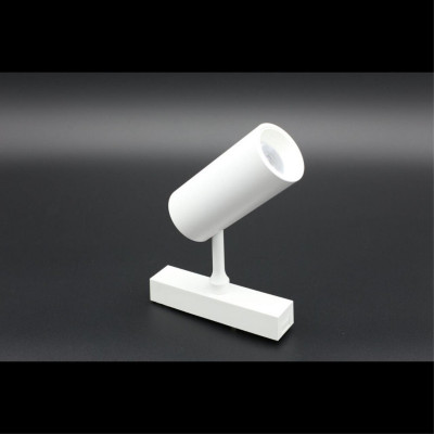 Светильник на шине APLOYT APL.0116.11.10