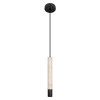 Подвесной светильник LOFT IT 10475D Black