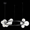 Подвесная люстра ST-Luce SL1165.402.15