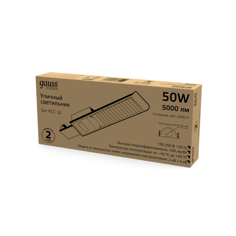 Консольный светильник Gauss 629534350