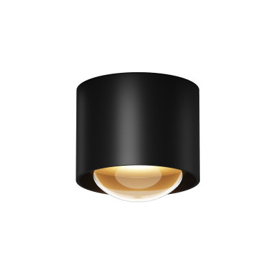 Накладной уличный светильник Maytoni O498CL-L15B3K