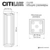 Садово-парковый светильник Citilux CLU13B
