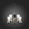 Подвесная люстра Evoluce SLE112403-05