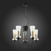 Подвесная люстра Evoluce SLE112403-05