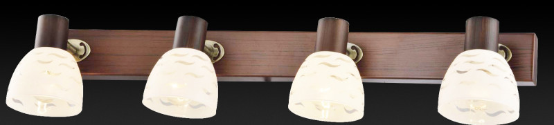 Спот TOPLIGHT TL3730Y-04BB