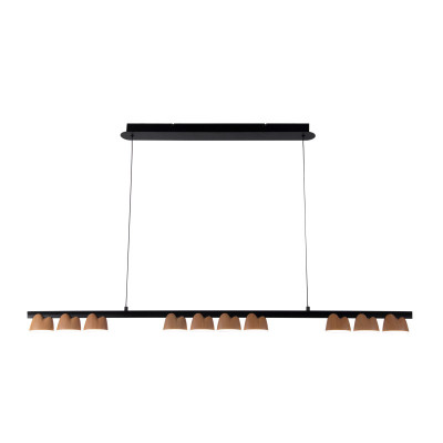 Подвесная люстра Favourite 4266-10P