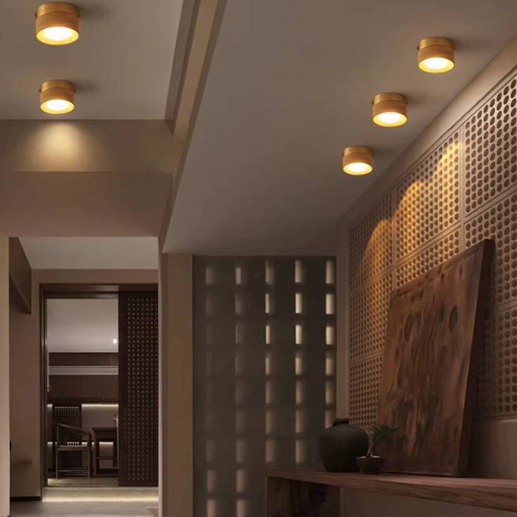 Накладной светильник ImperiumLoft 243482-22
