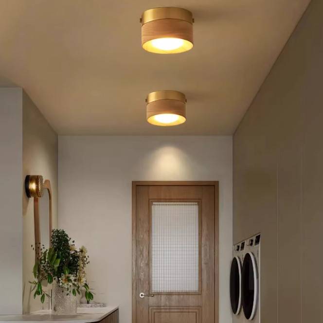 Накладной светильник ImperiumLoft 243482-22