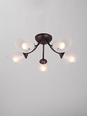 Накладная люстра Vitaluce V3404/5PL