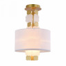 Светильник на штанге Maytoni Valencia H601PL-01BS