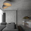 Накладной светильник LOFT IT 10197/350 Grey