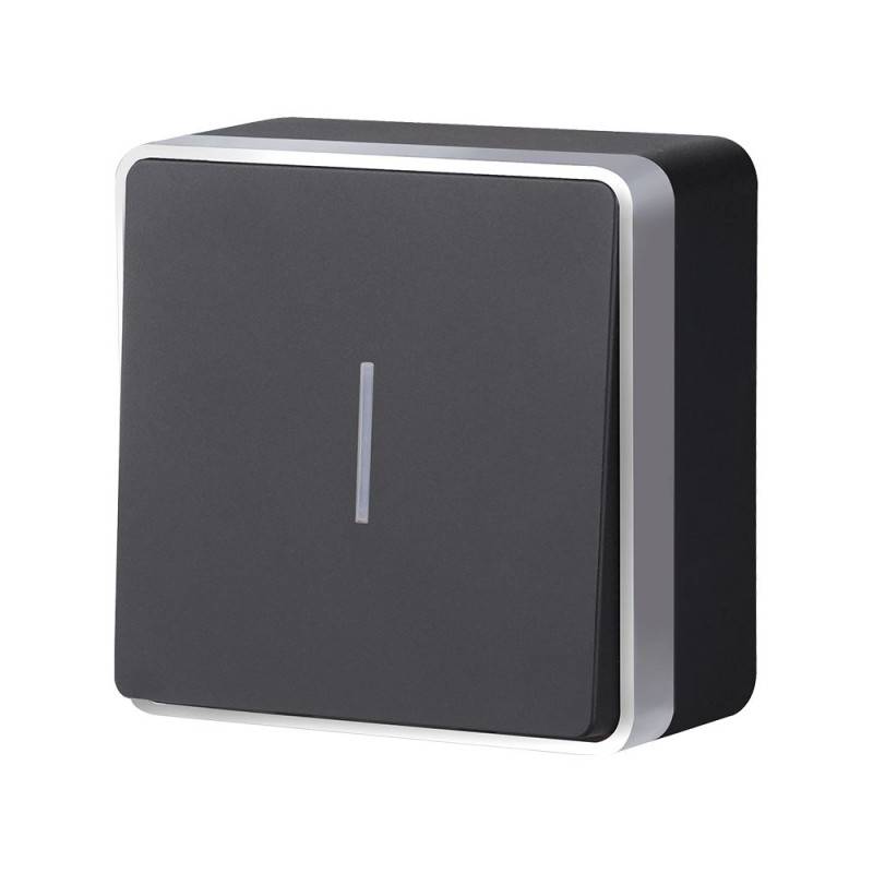 Выключатель Werkel W5010134 черный с серебром