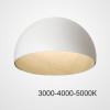 Накладной светильник ImperiumLoft 224007-23