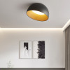 Накладной светильник ImperiumLoft 224007-23
