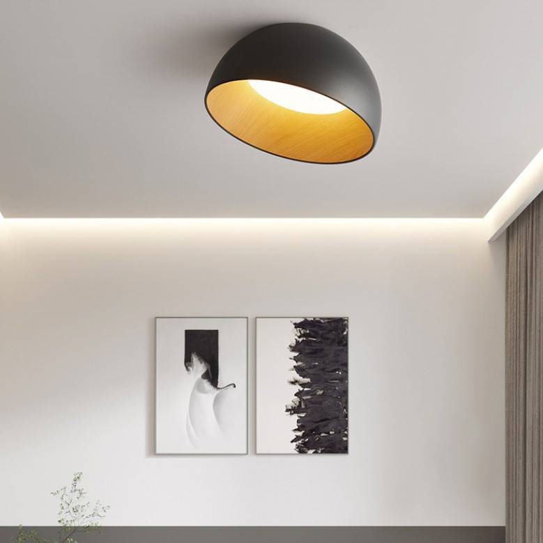 Накладной светильник ImperiumLoft 224007-23