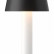 Настольная лампа декоративная Maytoni Tet-a-tet MOD104TL-3AB3K