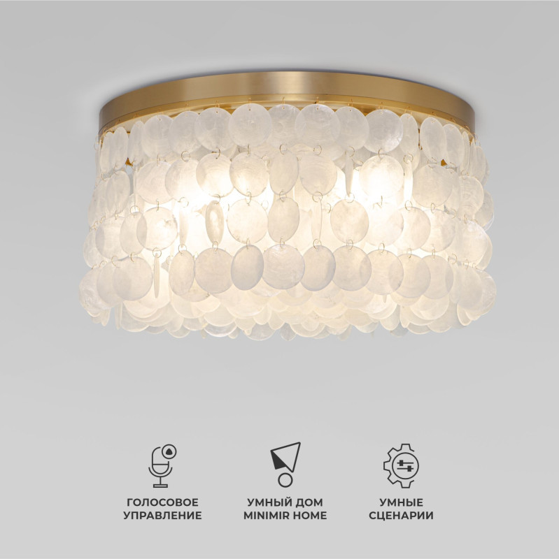 Накладная люстра Eurosvet 60084/5 латунь/перламутр Smart