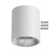 Накладной светильник Odeon Light 7139/12CL