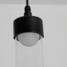 Подвесной уличный светильник Favourite 4702-1P