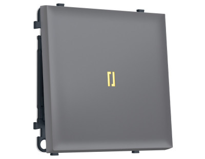 Выключатель Ambrella Volt MS862050