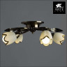 Потолочная люстра Arte Lamp Perce A6061PL-4AB