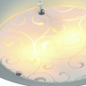 Накладной светильник Arte Lamp Ariel A4806PL-2CC