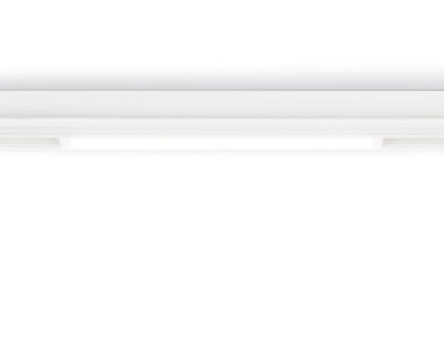 Светильник на шине Ambrella Light GL1655