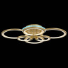 Потолочная люстра EVOLED Leto SLE200322-06RGB