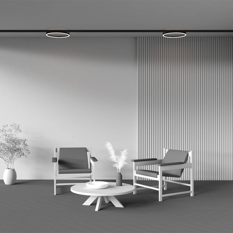 Светильник на шине Maytoni Technical TR227-2-24W3K-B