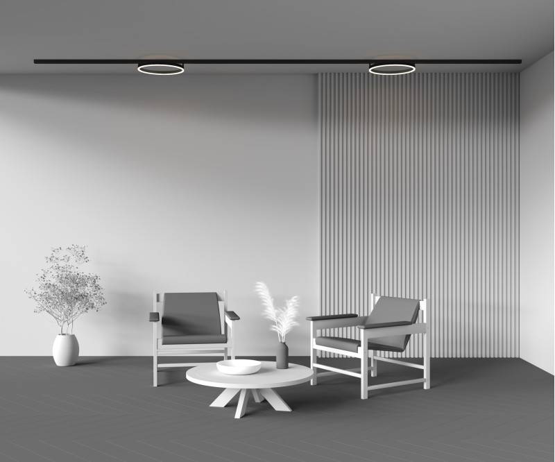 Светильник на шине Maytoni Technical TR227-2-24W3K-B