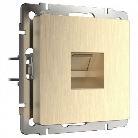 Розетка Ethernet RJ-45 без рамки Werkel шампань рифленый W1181010