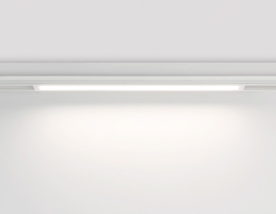 Светильник на шине Ambrella Light GL1665