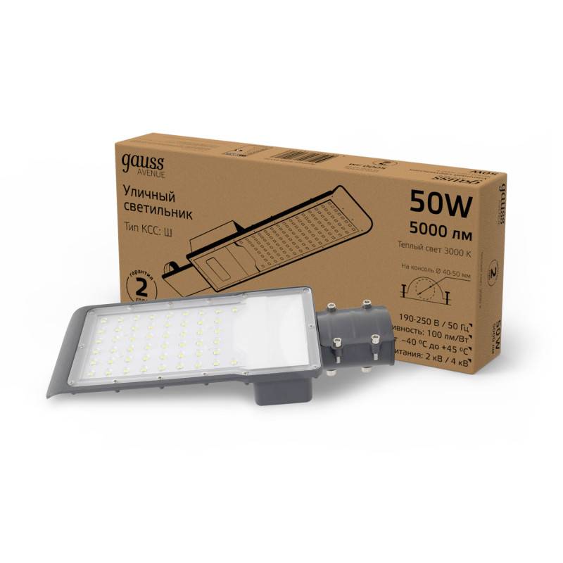 Консольный светильник Gauss 629534150