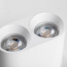 Накладной светильник Lightstar Rullo 213466