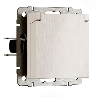 Розетка Werkel W1171213 N