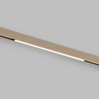 Светильник на шине Denkirs DK4751-CP