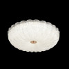 Накладной светильник Crystal Lux SOLARIS PL400