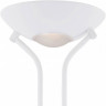 Торшер с подсветкой Arte Lamp Duetto A4329PN-2WH