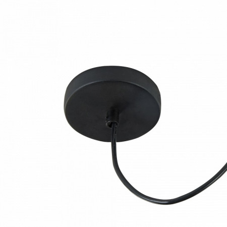 Подвесной светильник Maytoni Denver T448-PL-01-B
