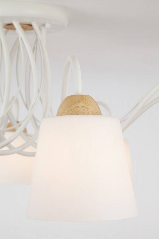 Накладная люстра Eurosvet 70062/8 белый