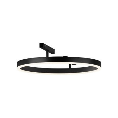 Светильник на шине Maytoni Technical TR227-2-24W4K-B