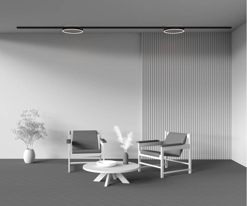 Светильник на шине Maytoni Technical TR227-2-24W4K-B